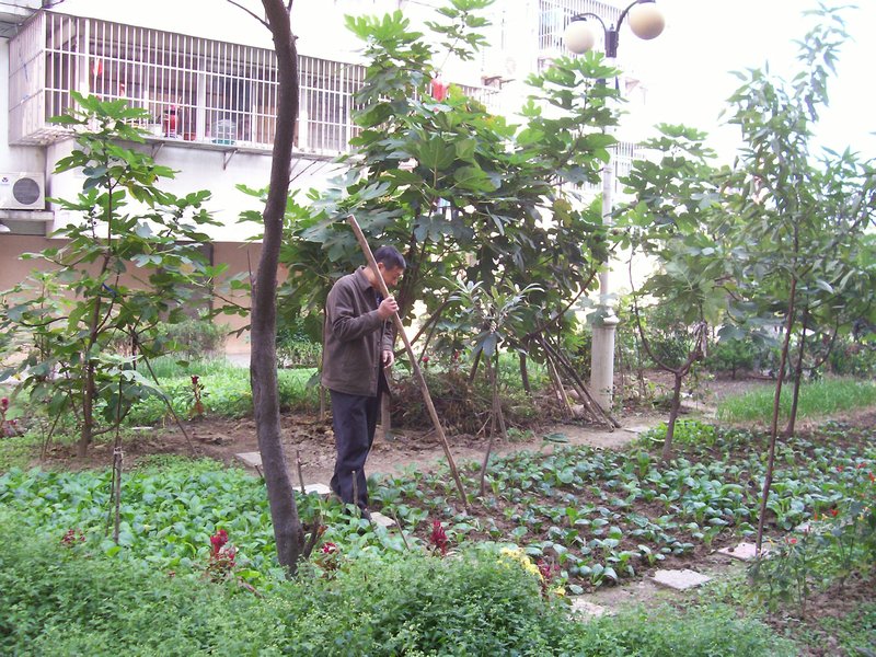 parents of staff work gardens