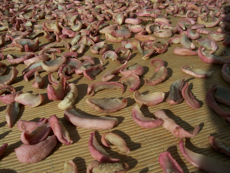drying radishes