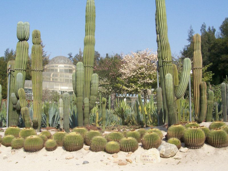 Xiamen Botanic Garden
