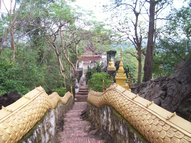 dragon steps