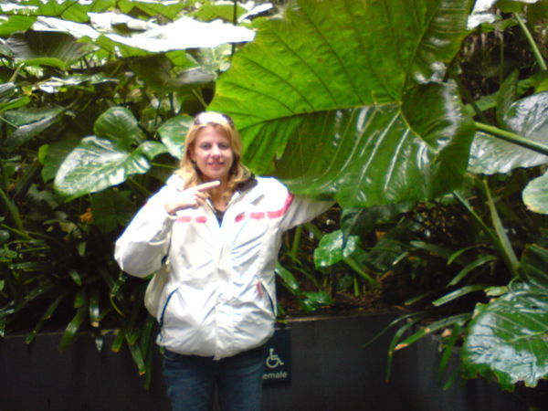 eleanor in the botanical gardens