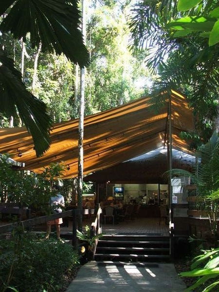 Bar in the jungle!