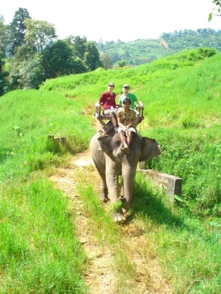 Elephant trekking 2