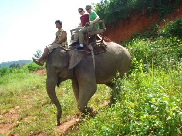 Elephant trekking 3