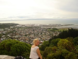 View over Nelson from the center of NZ