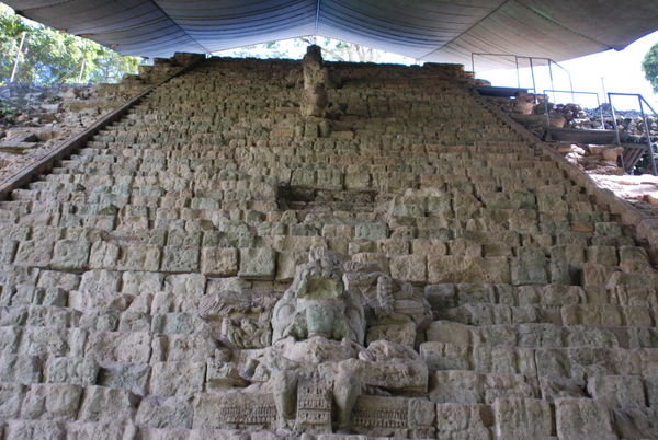 The Story Staircase of Copan
