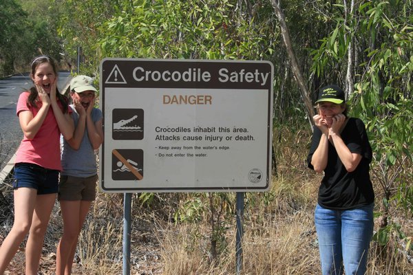 Crocodile swimming?