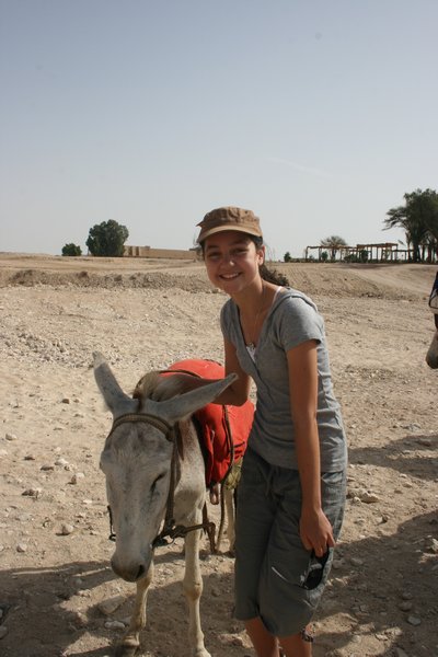 8. Rachel and her donkey