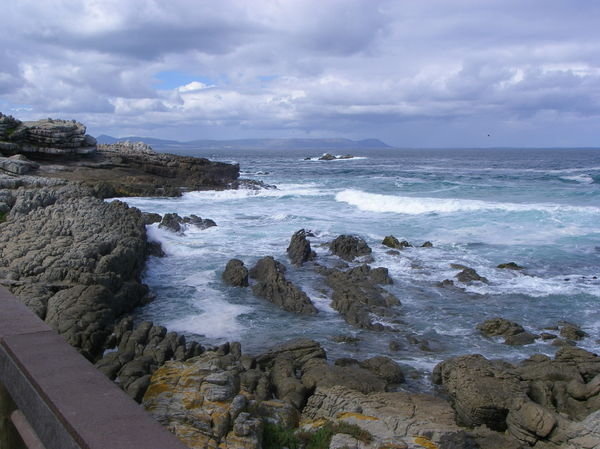 Hermanus and the Whales 