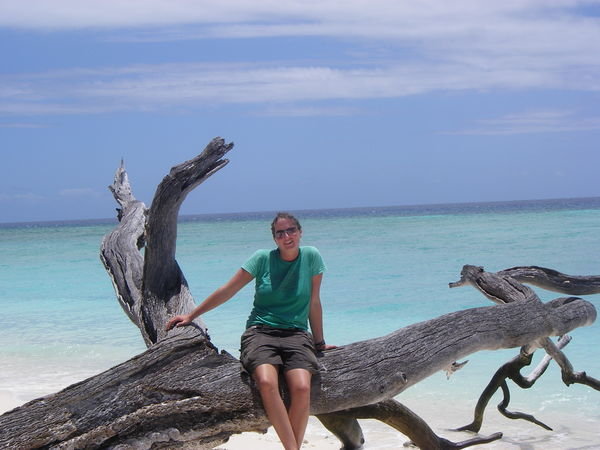 Lady Musgrave Island