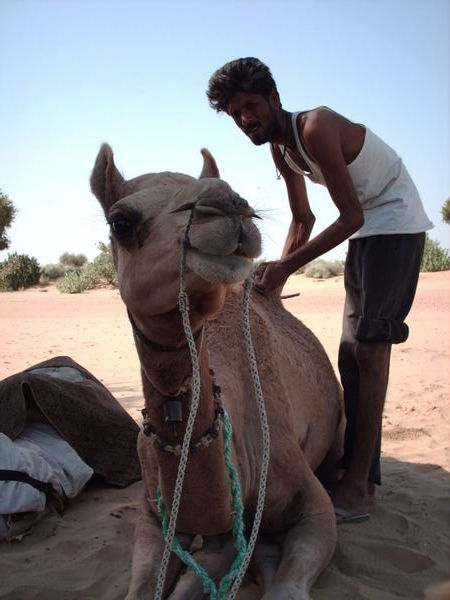 Thar Desert - Gaelle's camel