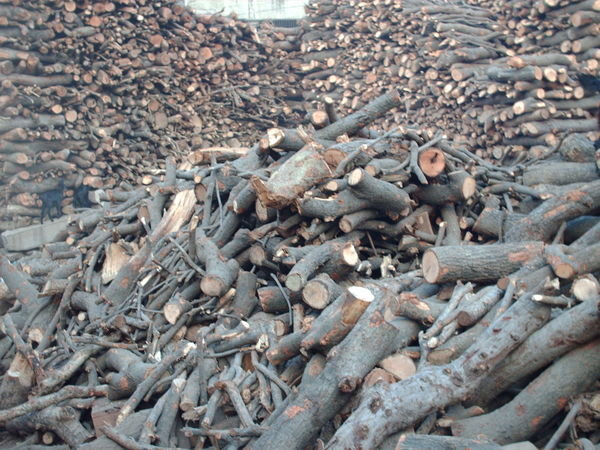 Varanasi - Wood piles near the burning ghat