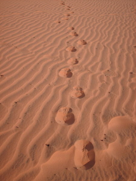 Mui Ne - Red Sand Dunes