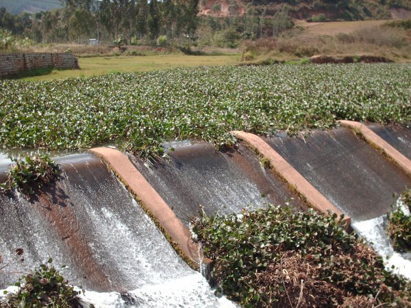 Around Dalat - Water irrigation system
