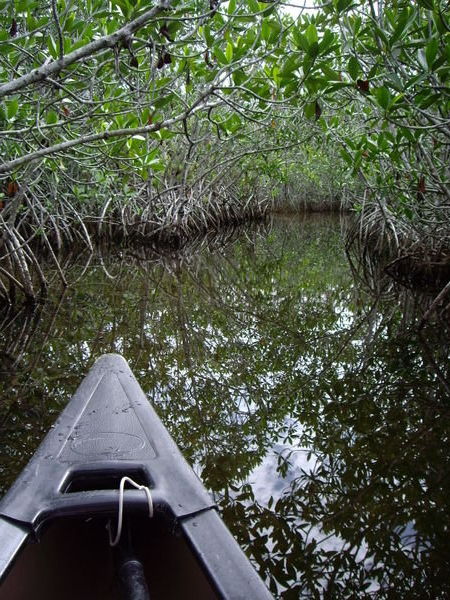Everglades N.P. Canoe Route