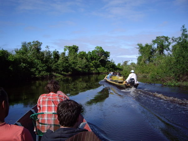Cruising The Amazon
