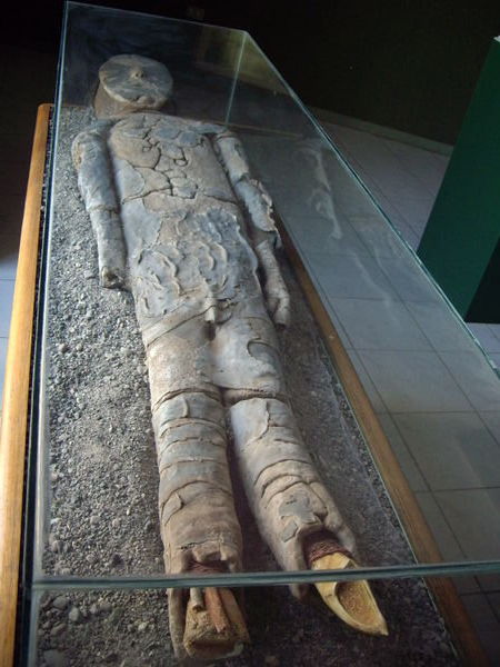 Arica Mummies