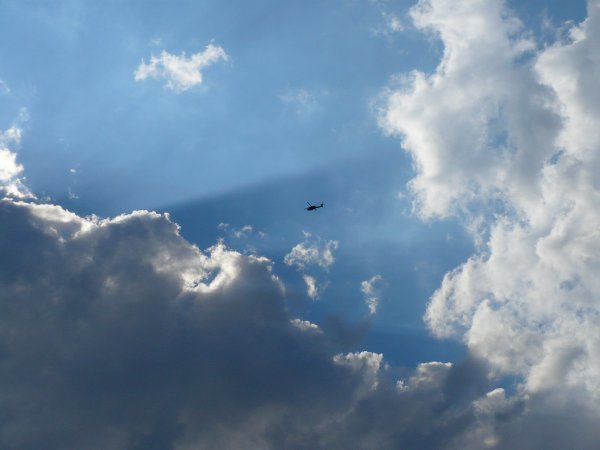 Big Birds Flying in the Sky...