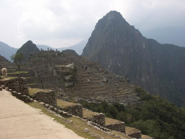 Wyna Picchu