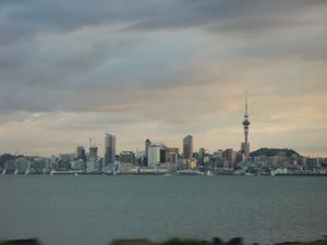 Auckland Again