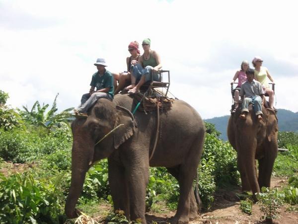 Off-road elephant riding