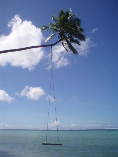 Awesome beach swing