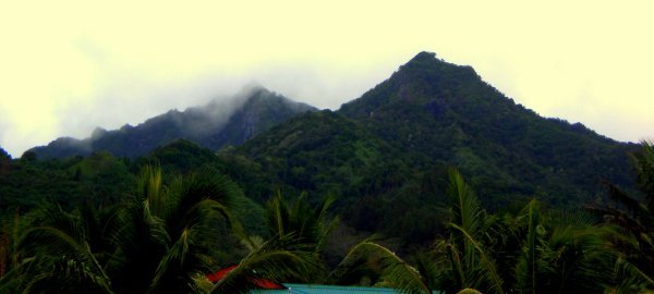 misty mountains  /  montanhas nubladas