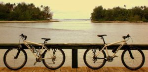 the bikes  /  las bicis