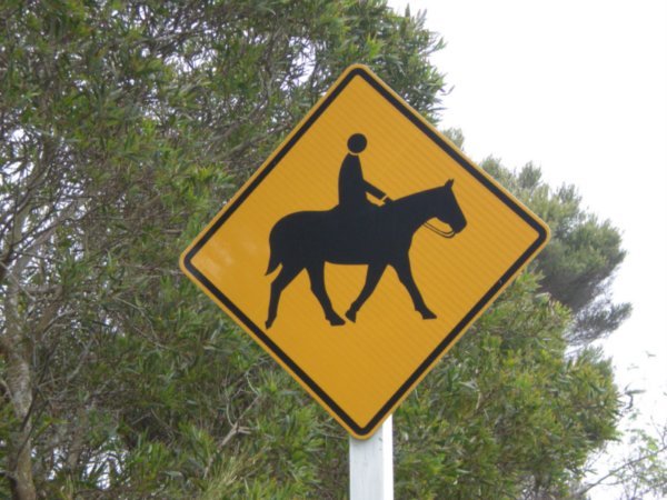 horse  /  caballo