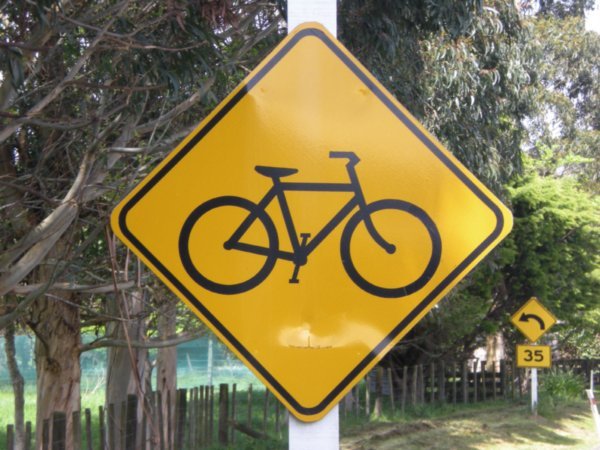 cyclists  /  ciclistas