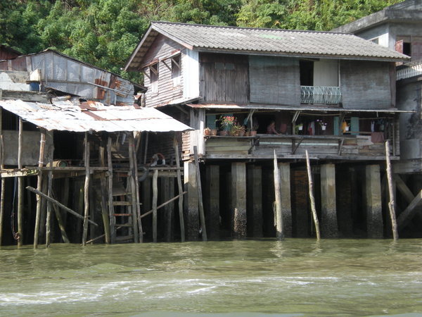 houses on the river  /  casa en el rio
