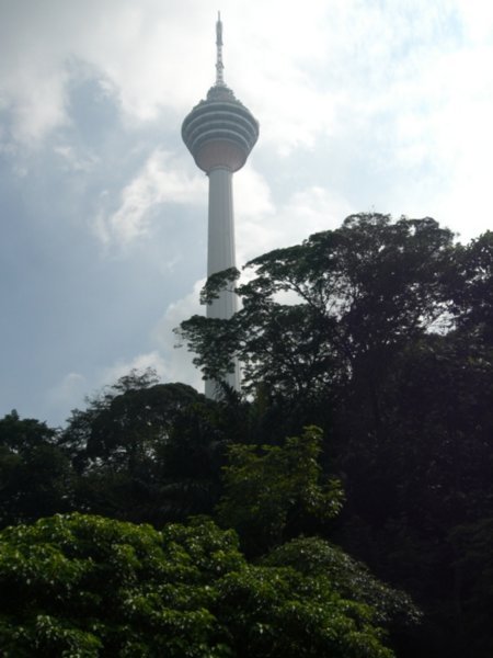 KL Tower with the rainforest area surrounding it