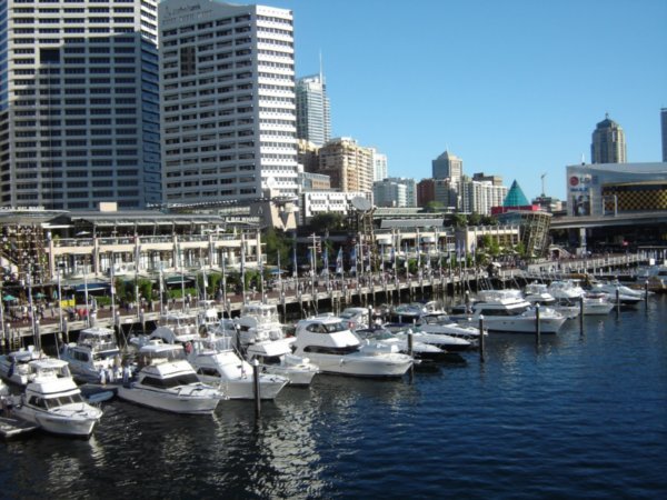 some yachts at Darling Harbour