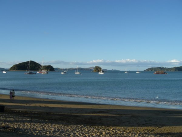 the Bay of Islands