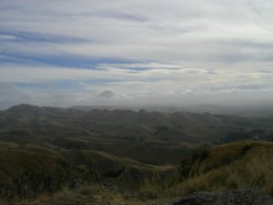 from Te Mata view point in Napier