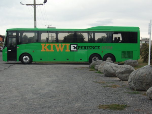 Kiwi Experience Bus