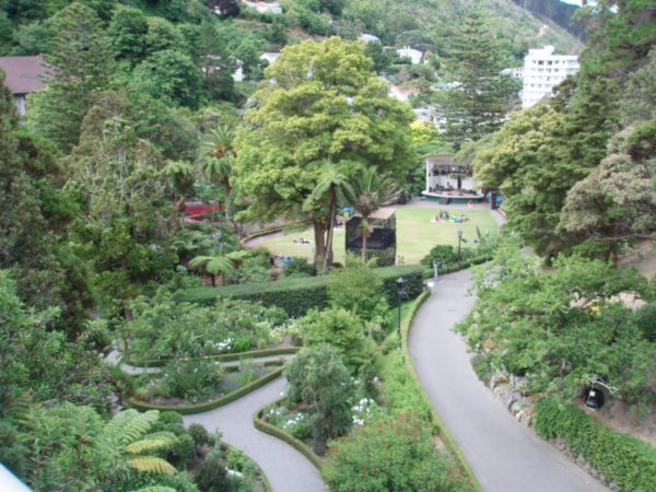 Wellington Botanical Gardens