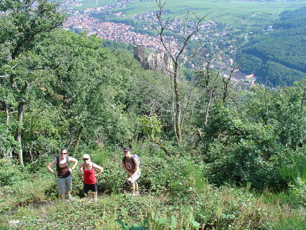 Ribeauville in Alsace