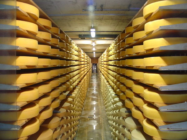 Cheese Anyone?