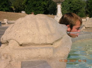 Greg the Turtle!