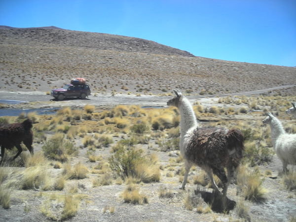 Off roading Bolivian style