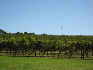 Margaret River Wine Region