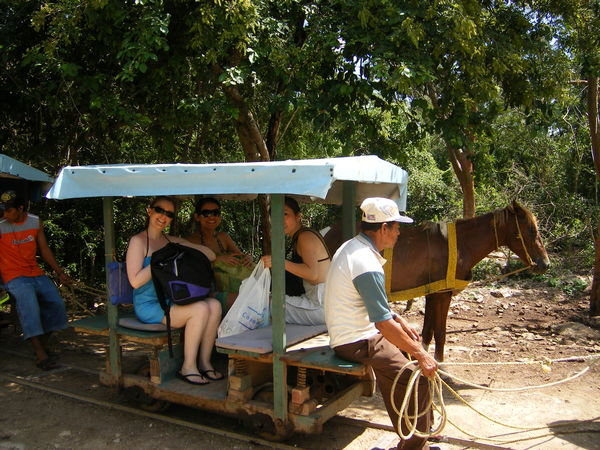 The horse-drawn carts that took us to the senotes