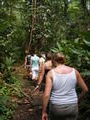 On our walk through the rainforest