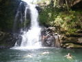 Swimming in the waterfall