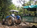 The tractor taking us to Rara Avis