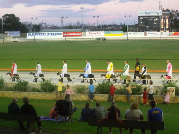 Greyhound racing, Perth