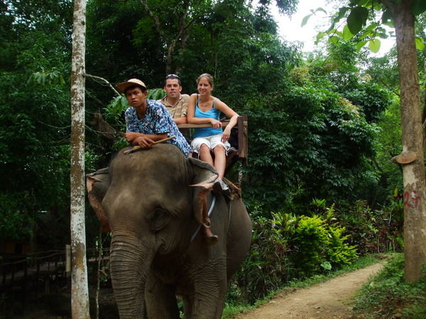 Luang Probang, Elephant ride