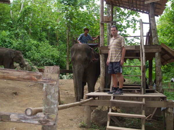 Luang Probang, Elephant Camp