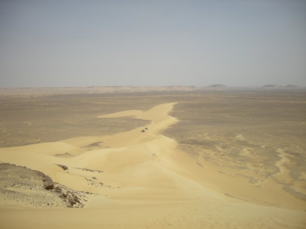 view from the top of the dune 